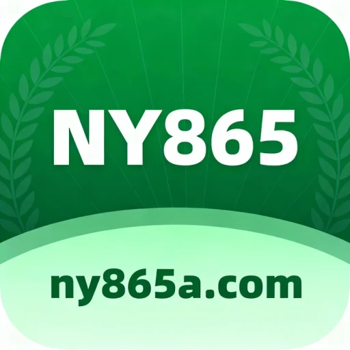 ny865.com